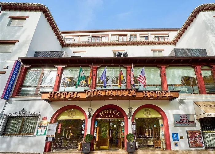 Hotel Crisol Guadalupe